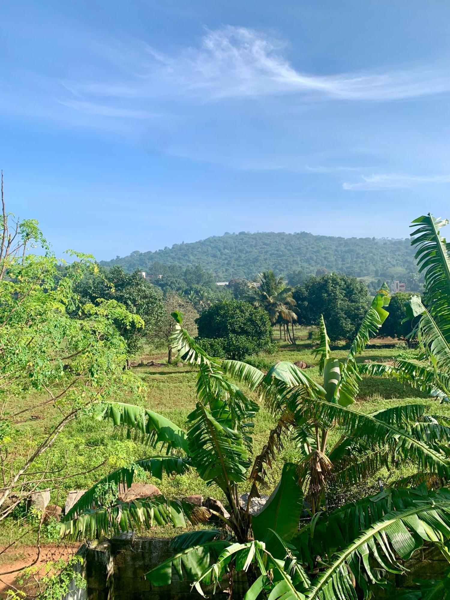 Raj Cliff Top Villa Yelagiri Exterior foto